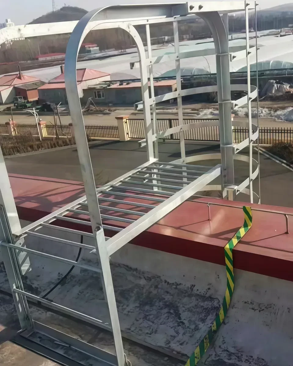 Caged Ladder — Ladder Cage & Safety Ladder Cage Supplier | Dengtai photo 2