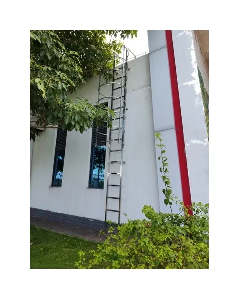 Fixed Ladder — Industrial Steel Fixed Access Ladder Supplier & Manufacturer  photo 4