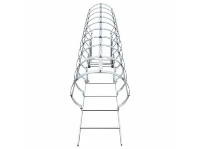 Caged Ladder