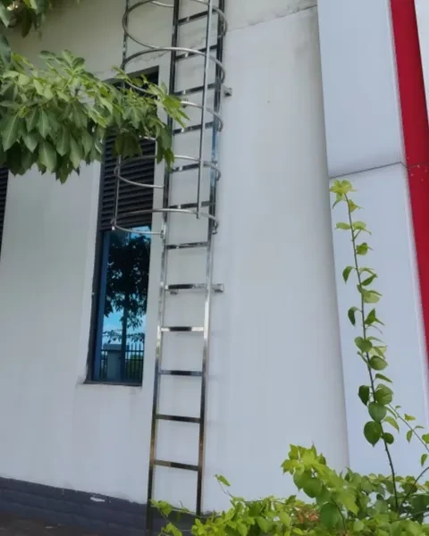 Stainless Steel Ladders — SS304 & SS316 Cat Ladder, Fixed Ladder Manufacturer  photo 3